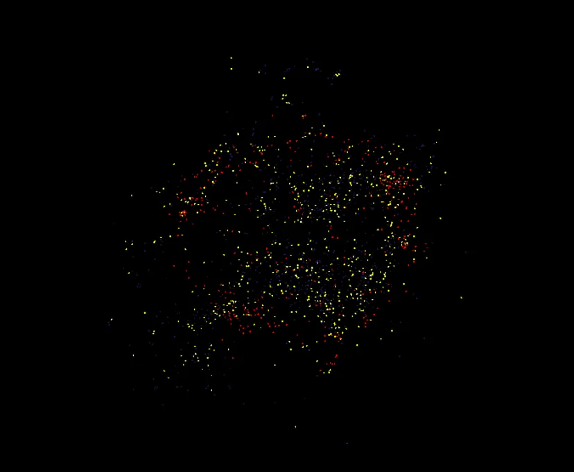 Best fonts every designer